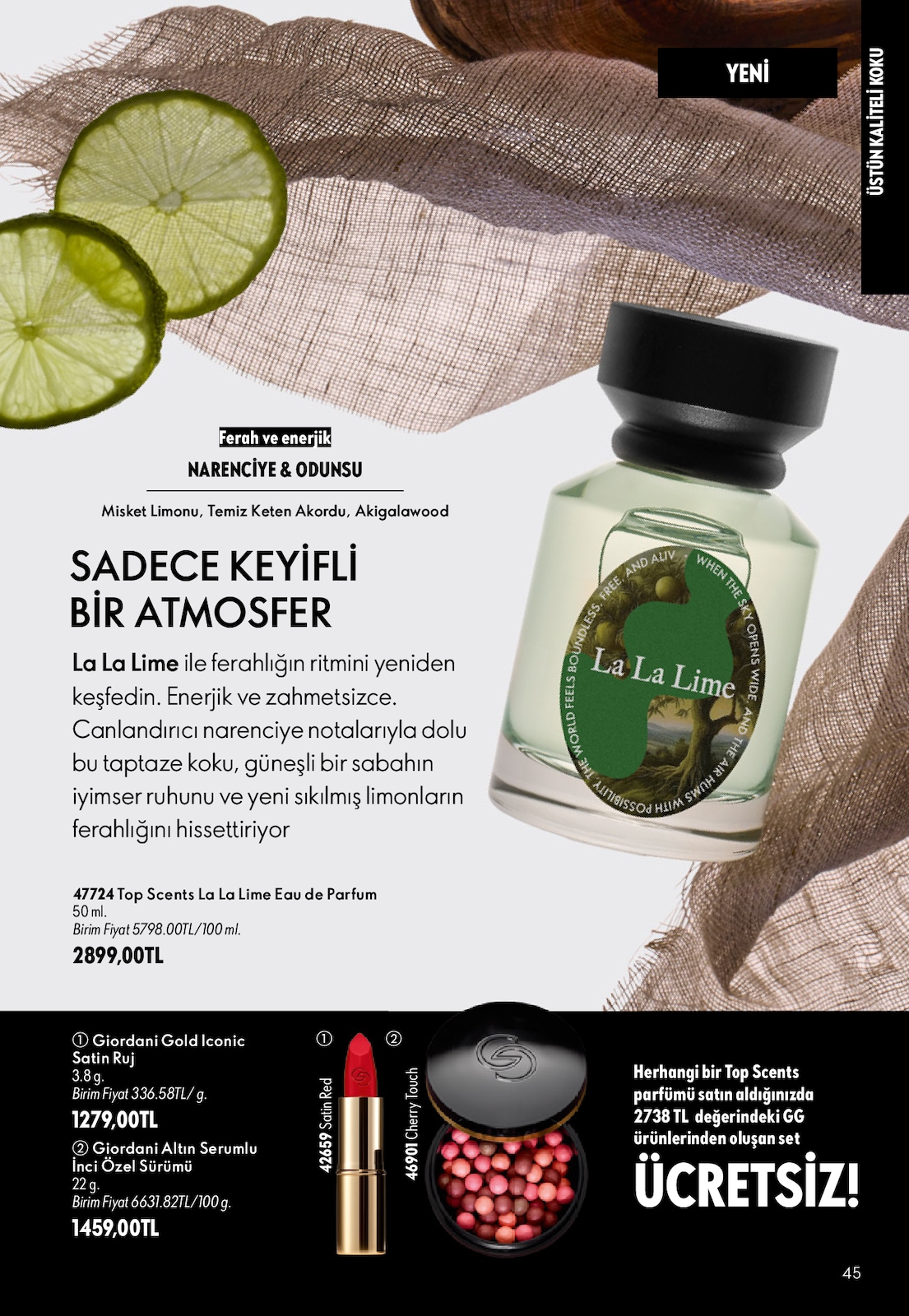 Sayfa 45