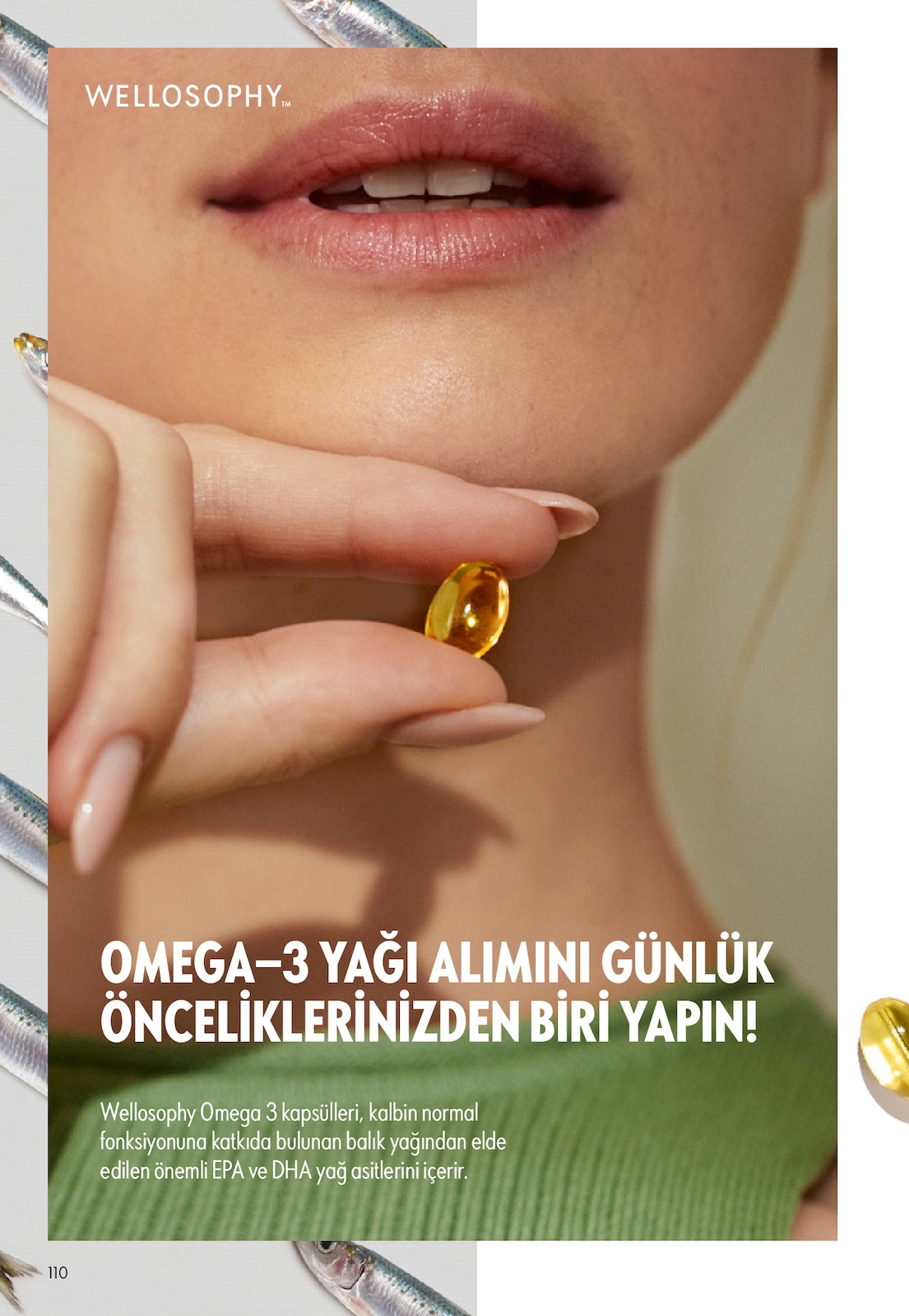 Sayfa 110