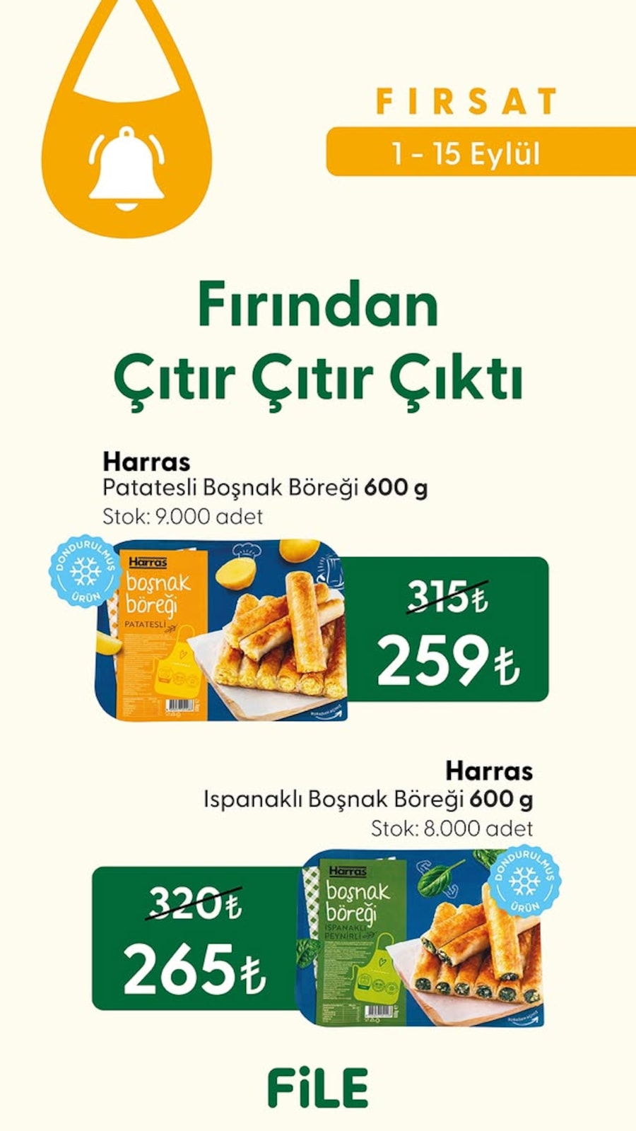 File Market katalog sayfa 4
