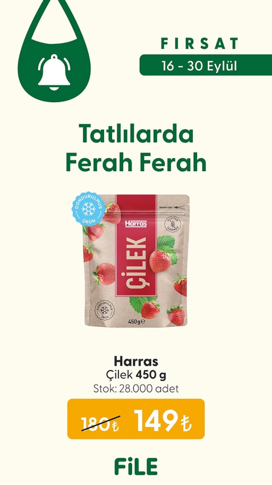 File Market katalog sayfa 3