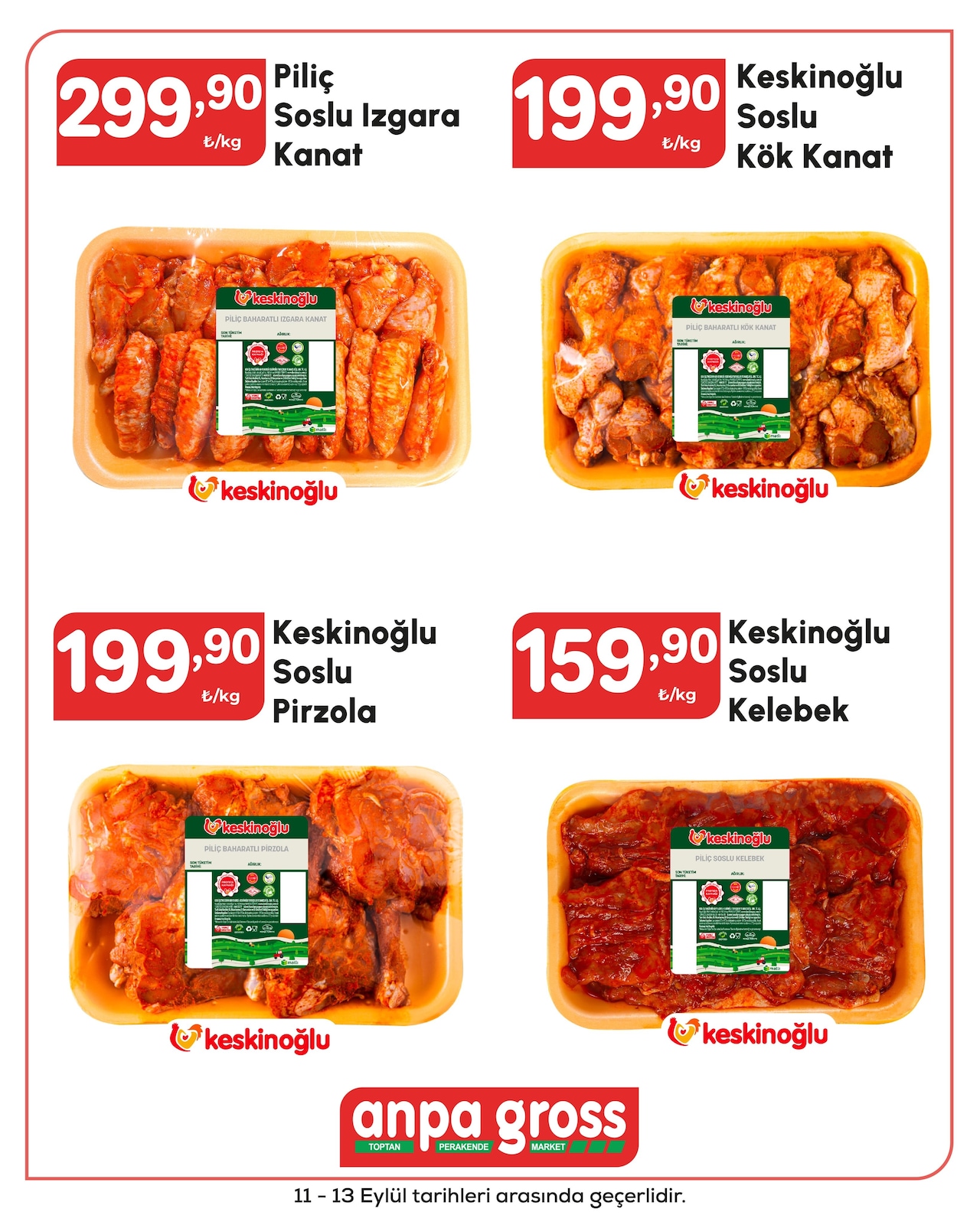 Anpa Gross katalog sayfa 21