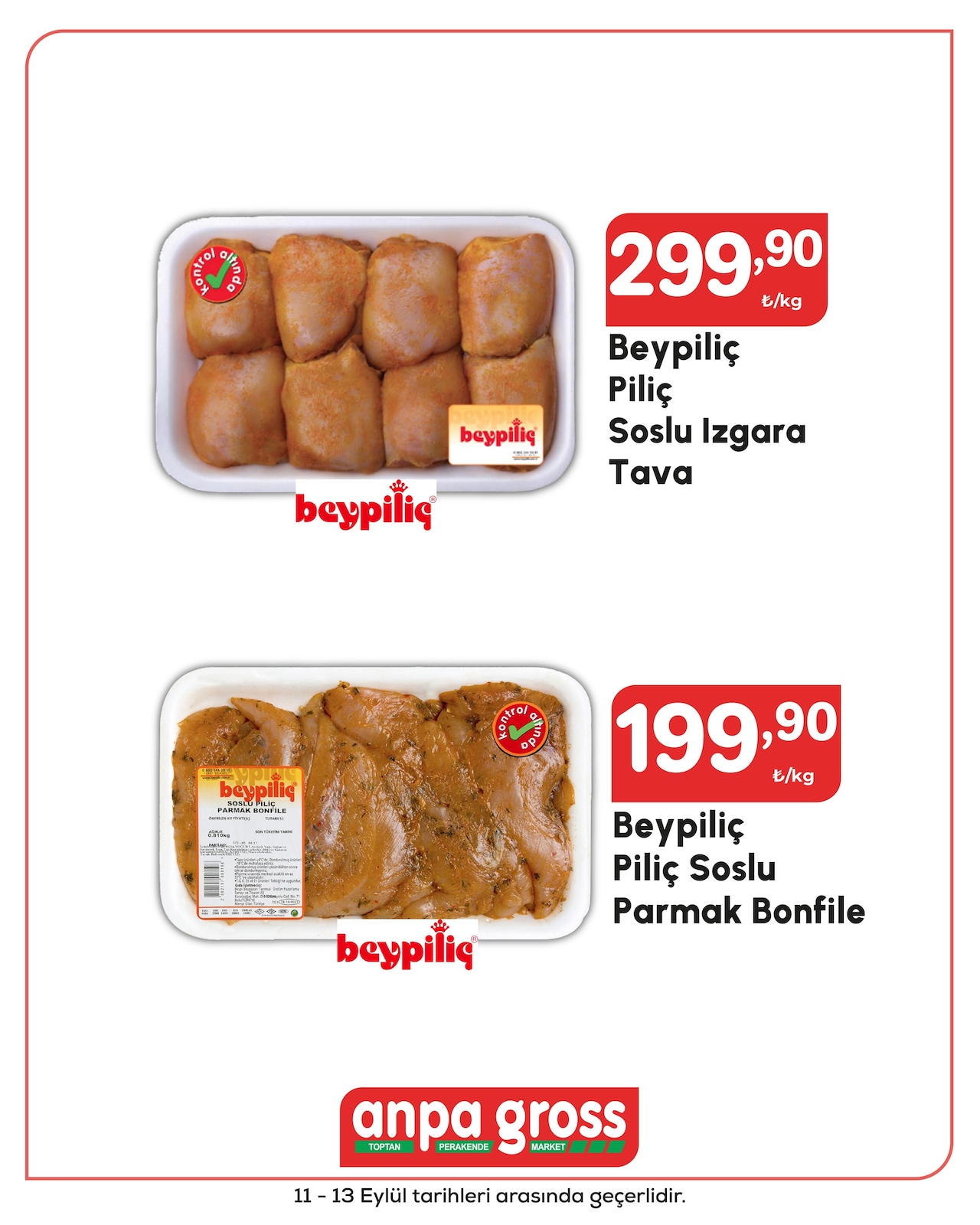 Anpa Gross katalog sayfa 22