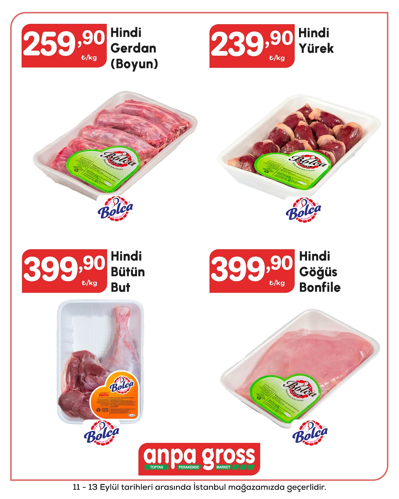 Anpa Gross katalog sayfa 23