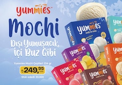 Yummies Mochi Çeşitleri 234 gr