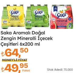 Saka Elma Aromalı Doğal Zengin Mineralli Gazlı İçecek 6x200 ml