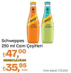 Schweppes Mandalina 250 ml
