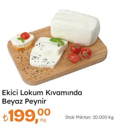 Ekici Lokum Kıvamında Beyaz Peynir kg