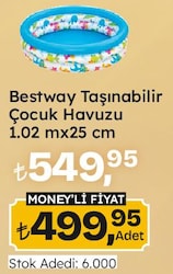 Bestway Taşınabilir Çocuk Havuzu 1.02 mx25 cm