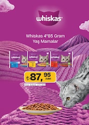 Whiskas Balık Favorileri 4x85 gr Yetişkin Kedi Yaş Maması