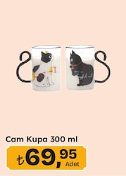 Cam Kupa 300 ml