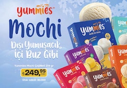Yummies Mochi Çeşitleri 234 gr