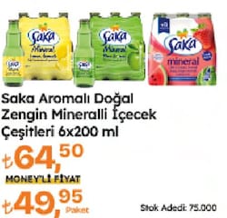 Saka Elma Aromalı Doğal Zengin Mineralli Gazlı İçecek 6x200 ml