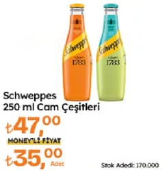 Schweppes Mandalina 250 ml