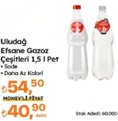 Uludağ 1.5 lt Pet Gazoz