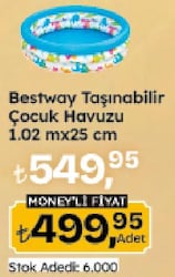 Bestway Taşınabilir Çocuk Havuzu 1.02 mx25 cm