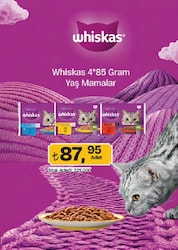 Whiskas Balık Favorileri 4x85 gr Yetişkin Kedi Yaş Maması