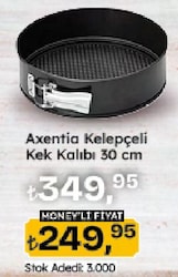 Axentia Kelepçeli Kek Kalıbı 30 Cm