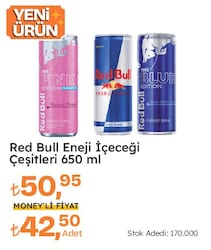 Red Bull Enerji İçeçeği Çeşitleri 650 ml 