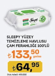 Sleepy Easy Clean Pine Çam Ferahlığı Yüzey Temizlik Havlusu 100 Yaprak