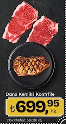 Dana Kemikli Kontrfile kg