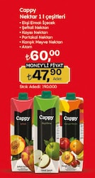 Cappy Ekşi Elma Meyve Suyu 1 lt