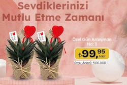 Özel Gün Aranjman No:3 