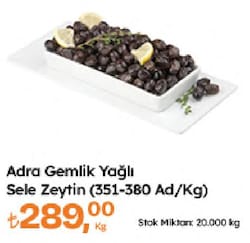 Adra Gemlik Yağlı Sele Zeytin 351/380 Ad/kg