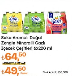 Saka Elma Aromalı Doğal Zengin Mineralli Gazlı İçecek 6x200 ml