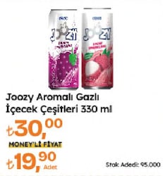 Joozy Liçi Aromalı Gazlı İçecek 330 ml