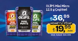 Olips 12.5 gr Mini Mints Nane