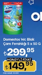 Domestos Wc Blok Çam Ferahlığı 5 x 50 G