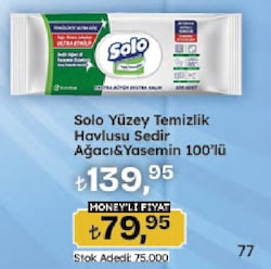 Solo Sedir Ağacı & Yasemin Esintisi Yüzey Temizlik Havlusu 100 Yaprak