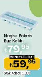 Mugiss Polaris Buz Kalıbı