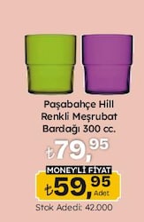 Paşabahçe Hill Renkli Meşrubat Bardağı 300 cc
