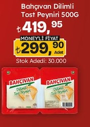 Bahçıvan Dilimli Tost Peyniri 500 g