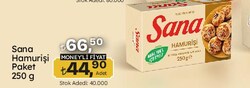 Sana Hamurişi Paket 250 gr