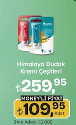 Himalaya Dudak Kremi Çeşitleri/Adet