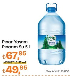 Pınar Yaşam Pınarım Su 5 l