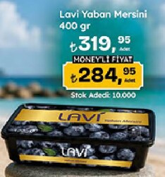 Lavi Yaban Mersini 400 gr
