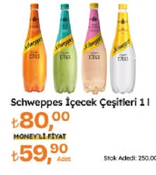 Schweppes İçecek Çeşitleri 1 lt