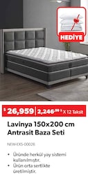 Lavinya 150x200 cm Antrasit Baza Seti