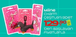 Miine Charm Çeşitleri/Adet