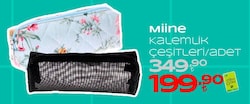 Miine Kalemlik Çeşitleri/Adet