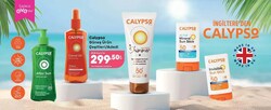 Calypso Güneş Ürün Çeşitleri/Adedi