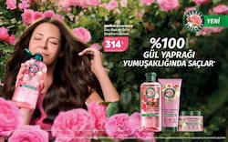 Herbal Essences Gül Kokulu Saç Bakım Ürün Çeşitleri/Adedi