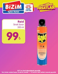 Raid Sinek Öldürücü Sprey 300 ml