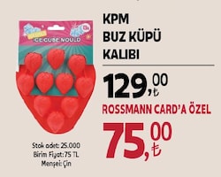 Kpm Buz Küpü Kalıbı