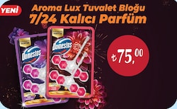 Domestos Tuvalet Bloğu Çeşitleri/Adet