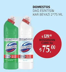 Domestos Dağ Esintisi & Kar Beyazı 2x75 ml