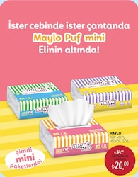 Maylo Küp Kutu Mendil 50'li